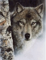 sticker_18382054_29393957