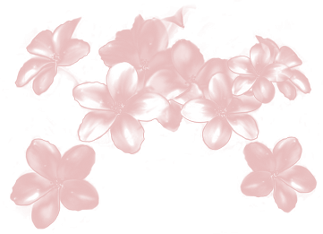sticker_9888205_25710157