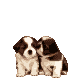 sticker_6109363_10643732