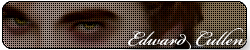 sticker_19020867_47597504