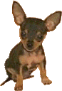 sticker_12376572_47603660