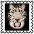 sticker_23019370_47571811