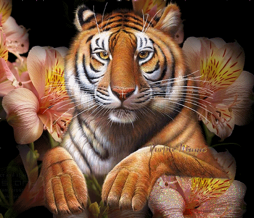 sticker_31028426_45076026