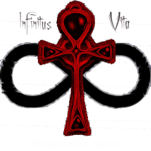 sticker_8178823_37321462