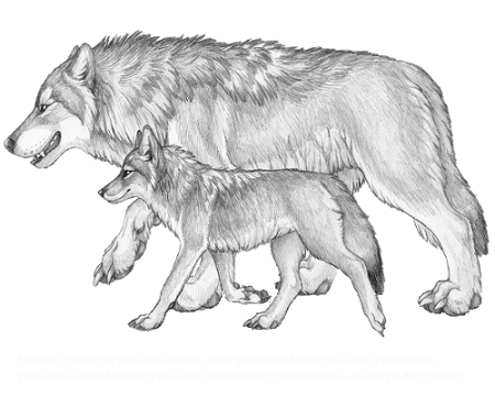 sticker_9579711_47540548
