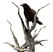 sticker_11896673_15561349