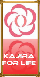 sticker_28379902_41513993