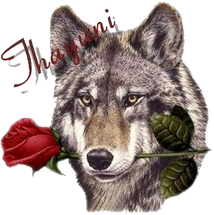 sticker_22933190_35165814