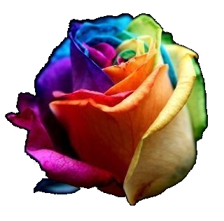 sticker_17057576_47456472