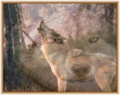 sticker_1604602_8270628