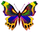 sticker_6135606_12827544