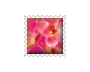 sticker_7487482_33892017