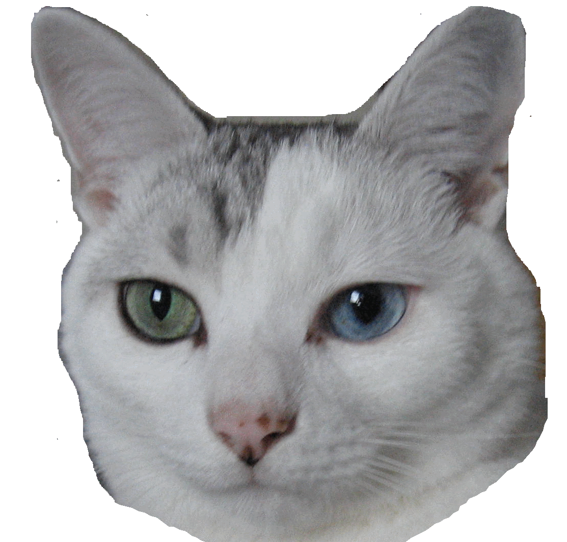 sticker_8375571_19534233