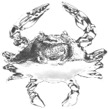 sticker_18321152_32166566