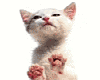 sticker_12525141_23679781