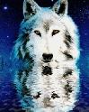 sticker_36296040_116