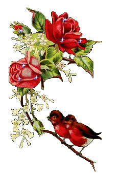 sticker_22651274_45782992