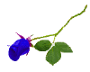 sticker_14494138_23663130