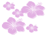 sticker_23920903_37942114