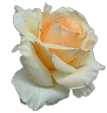 sticker_21033724_39324521