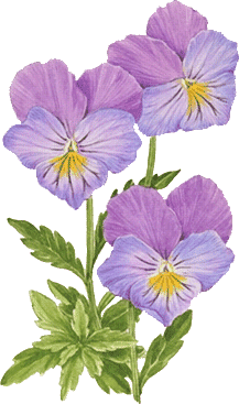 sticker_20158589_47488469