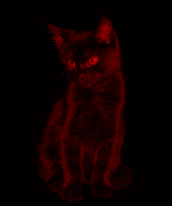 sticker_24570823_47229371