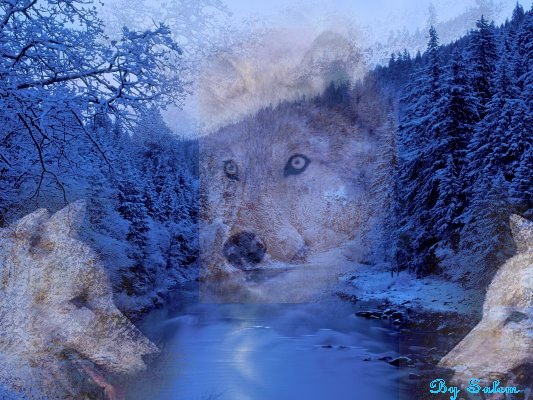 sticker_29732997_41400952