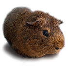 sticker_1196482_21969316