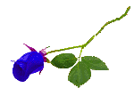 sticker_30676001_47594095