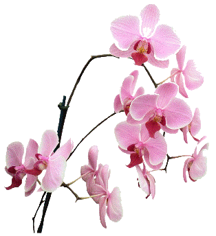 sticker_35496999_13