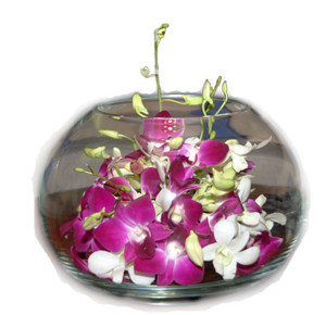 sticker_6137377_9706649