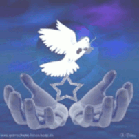 sticker_33338329_47231373