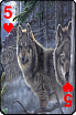 sticker_22933190_41065593