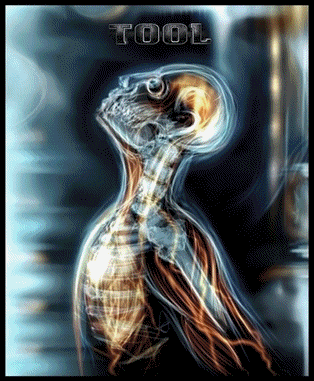 sticker_12517070_22707158