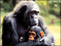 sticker_419909_958019