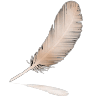 sticker_23343380_47541243