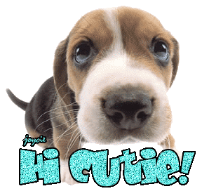 sticker_8345731_13101069
