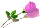 sticker_11383235_17610690
