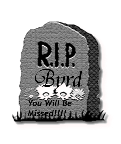 sticker_17048766_24822264