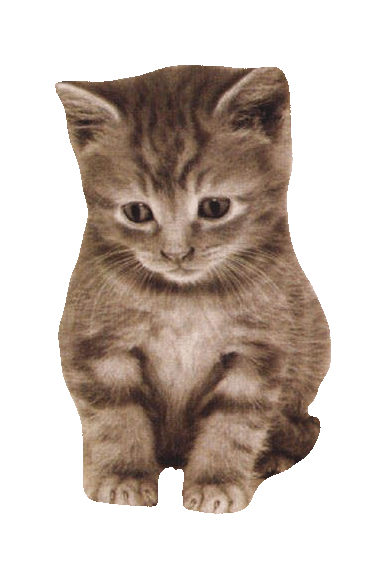 sticker_25256902_34946310