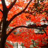 sticker_28282022_41677629