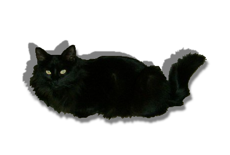 sticker_12517070_47385364