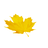 sticker_12376572_44029611