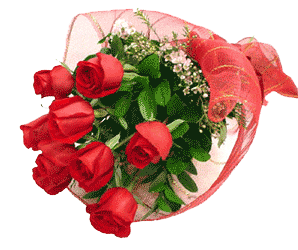 sticker_3282443_35520008