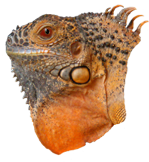 sticker_9784051_24464646