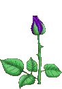 sticker_19909200_32582122