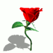 sticker_27685246_47305678