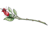 sticker_1617912_12261082