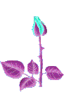 sticker_21033724_28658229