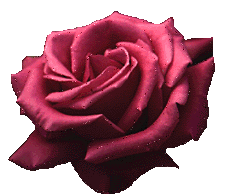 sticker_8998533_39045634